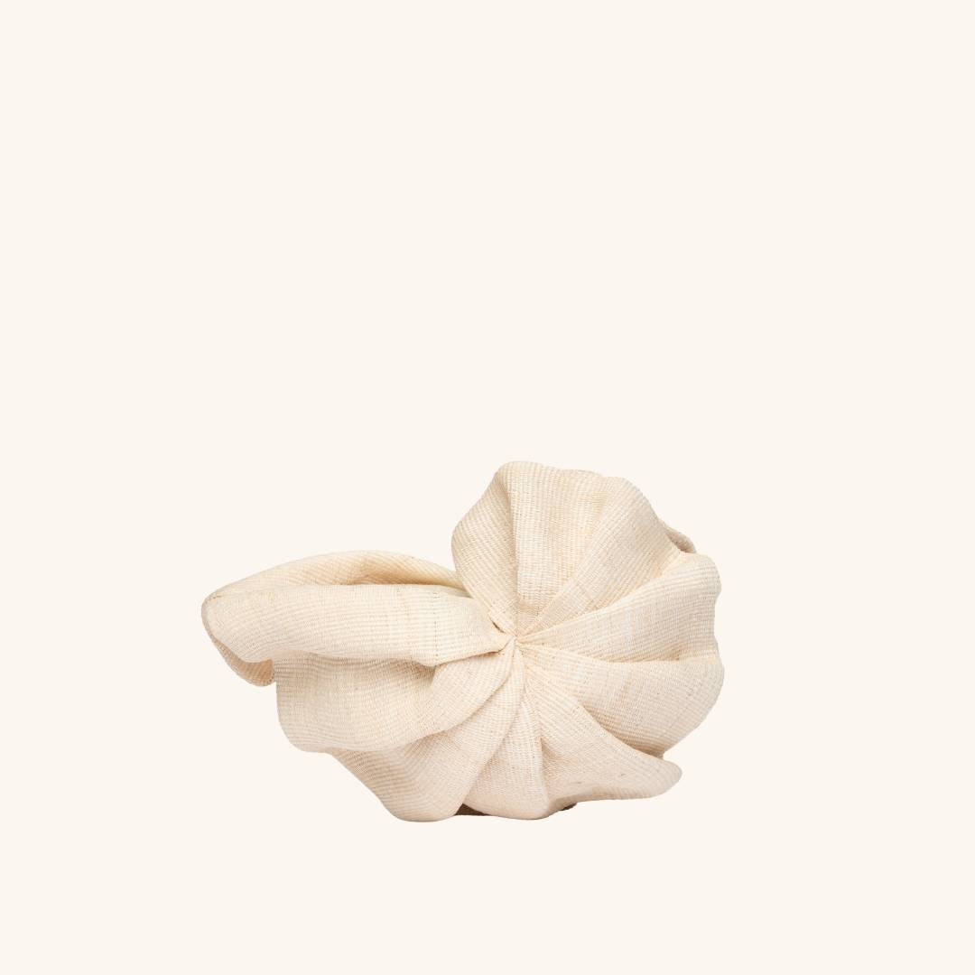 The Origami Nautilus Mini - Disco