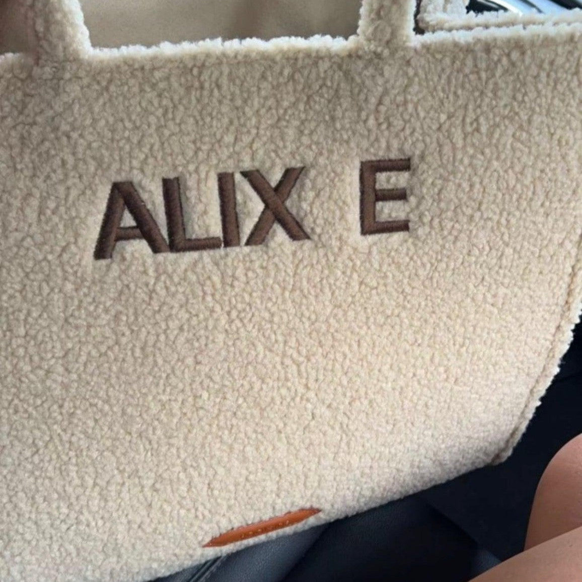 The Teddy Tote