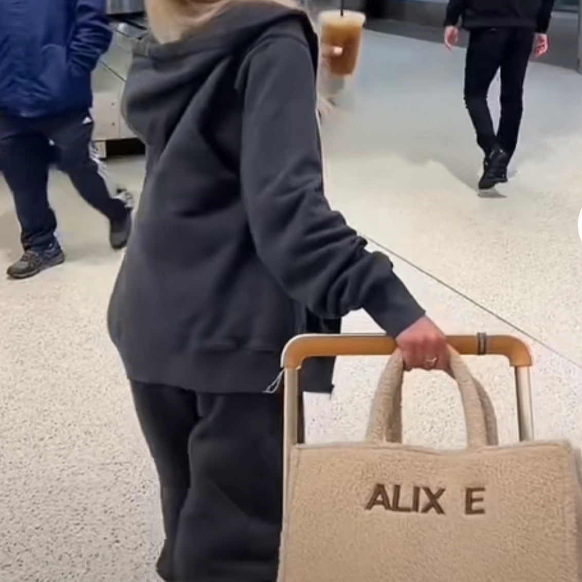 The Teddy Tote
